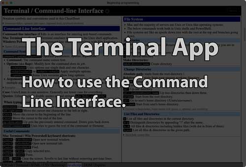 Link to How to use the Terminal tutorial page